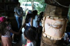 phoca_thumb_l_IMG_0372
